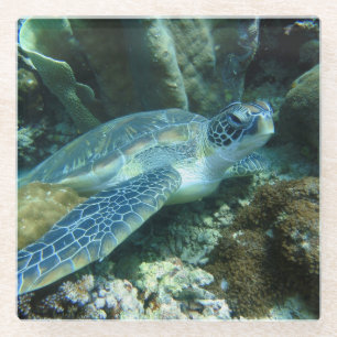 Zee Schildpad op de zeebodem Foto Glazen Onderzetter