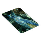 Zee Schildpad op de zeebodem Foto Magneet (Rechterzijde)