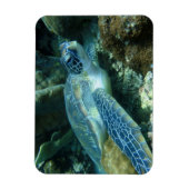 Zee Schildpad op de zeebodem Foto Magneet (Verticaal)