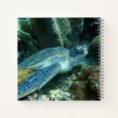 Zee Schildpad op de zeebodem Foto Notitieboek (Achterkant)