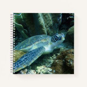 Zee Schildpad op de zeebodem Foto Notitieboek