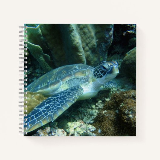 Zee Schildpad op de zeebodem Foto Notitieboek (Voorkant)