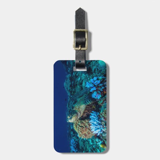 Zee schildpad op Great Barrier Reef Bagagelabel (Voorkant verticaal)
