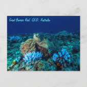 Zee schildpad op Great Barrier Reef Briefkaart (Voorkant)