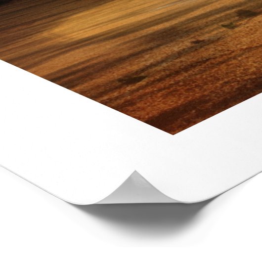 Zee schildpad op het Poster van de Zonnetijd (Hoek)