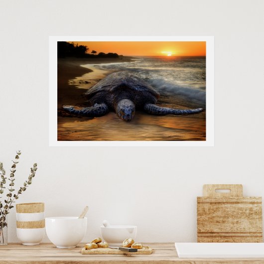 Zee schildpad op het Poster van de Zonnetijd (Keuken)