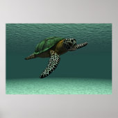 Zee schildpad poster (Voorkant)
