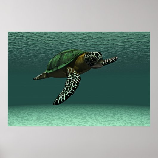 Zee schildpad poster (Voorkant)