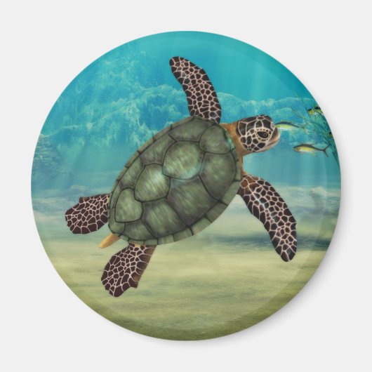 Zee Schildpad Rond Magneet (Voorkant)