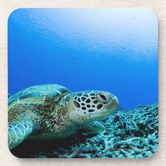 Zee schildpad rust onder water bier onderzetter (Voorkant)