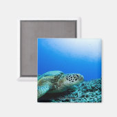 Zee schildpad rust onder water magneet (Voorkant / Achterkant)