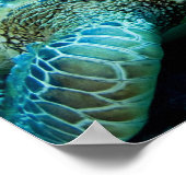 Zee schildpad rust onder water poster (Hoek)