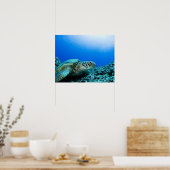 Zee schildpad rust onder water poster (Keuken)