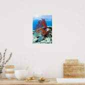 Zee schildpad rust onder water poster (Keuken)