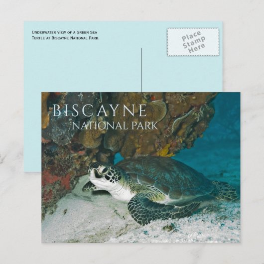 Zee Schildpad rust onderwater, Biscayne Bay, FL Briefkaart (Voorkant / Achterkant)