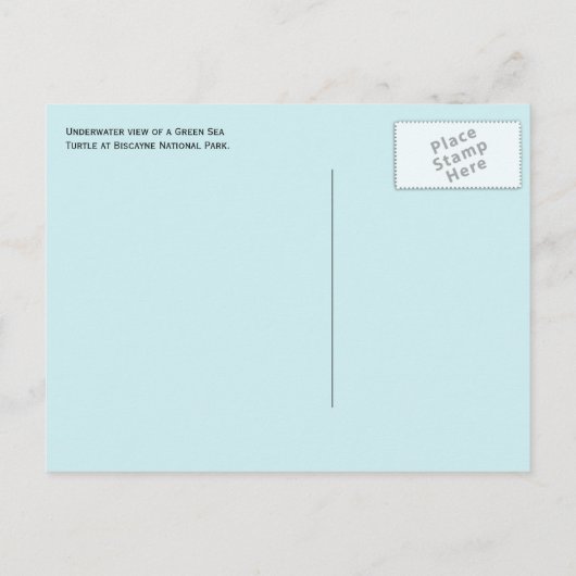 Zee Schildpad rust onderwater, Biscayne Bay, FL Briefkaart (Achterkant)