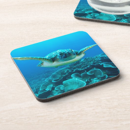 Zee schildpad set met 6 Onderzetters (Linkerzijde)