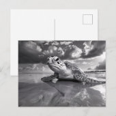 Zee Schildpad Zwart-wit kunst Briefkaart (Voorkant / Achterkant)