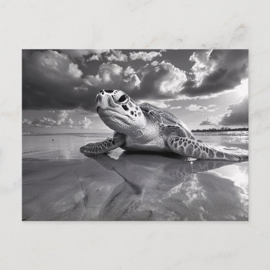 Zee Schildpad Zwart-wit kunst Briefkaart (Voorkant)