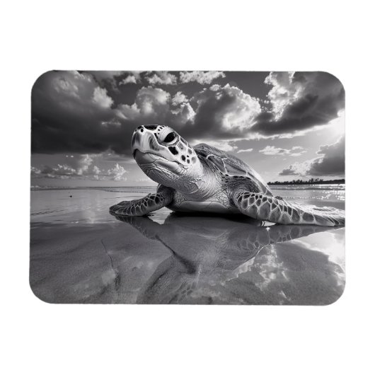 Zee Schildpad Zwart-wit kunst Flexibel Magneet (Horizontaal)