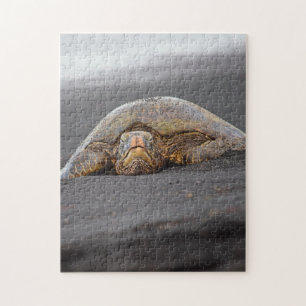 Zee Schildpad - Zwart Zandstrand - Hawaii Puzzel