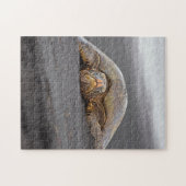 Zee Schildpad - Zwart Zandstrand - Hawaii Puzzel Legpuzzel (Horizontaal)