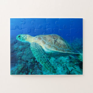 Zee schildpad zwemmen Kleine puzzel