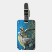 Zee schildpad zwemmen onder water Galapagos paradi Bagagelabel (Voorkant verticaal)