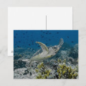 Zee Schildpad Zwemt Briefkaart (Voorkant / Achterkant)