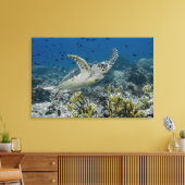 Zee Schildpad Zwemt Canvas Afdruk (Insitu (Woonkamer))
