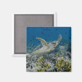 Zee Schildpad Zwemt Magneet (Voorkant / Achterkant)