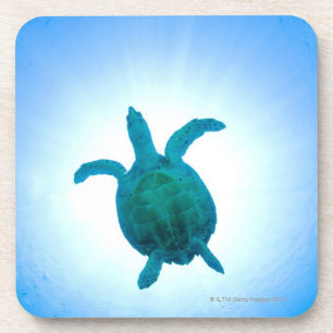 Zee schildpad zwemt onderwater bier onderzetter