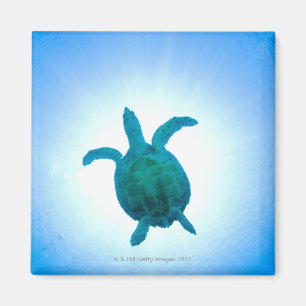 Zee schildpad zwemt onderwater magneet
