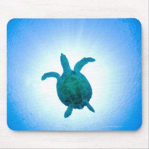 Zee schildpad zwemt onderwater muismat