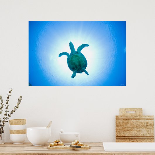Zee schildpad zwemt onderwater poster (Keuken)