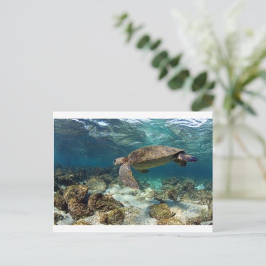 Zee schildpad zwemt op het eiland lagune paradijs briefkaart (Staand voorkant)