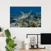 Zee Schildpad Zwemt Poster (Thuiskantoor)