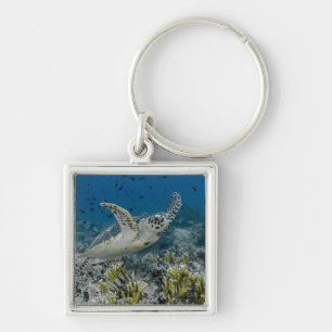 Zee Schildpad Zwemt Sleutelhanger
