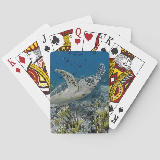 Zee Schildpad Zwemt Speelkaarten (Achterkant)