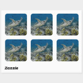 Zee Schildpad Zwemt Vierkante Sticker (Vel)