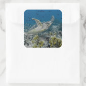 Zee Schildpad Zwemt Vierkante Sticker (Tas)