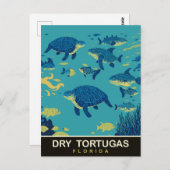 Zee Schildpadden bij Dry Tortugas FL, Reizen Briefkaart (Voorkant / Achterkant)