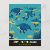 Zee Schildpadden bij Dry Tortugas FL, Reizen Briefkaart (Voorkant)