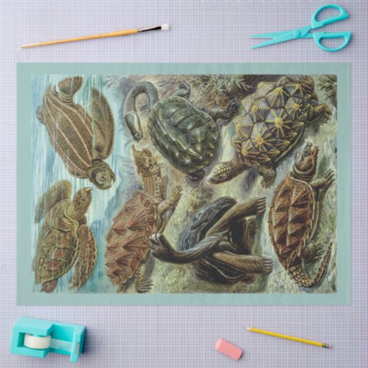  Zee Schildpadden en Schildpadden Decoupage Tissuepapier (Craft)