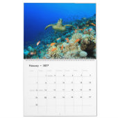 Zee schildpadden en schildpadden kalender (Feb 2027)