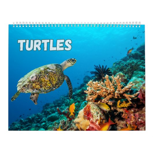 Zee schildpadden en schildpadden kalender (Hoes)