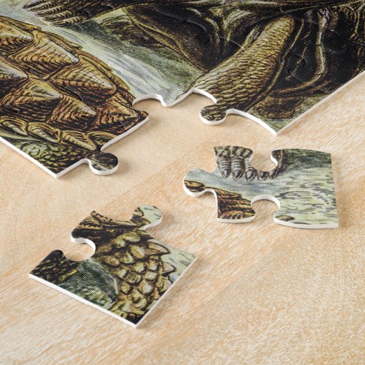  Zee schildpadden en schildpadden van Ernst Haecke Legpuzzel (Zijkant)