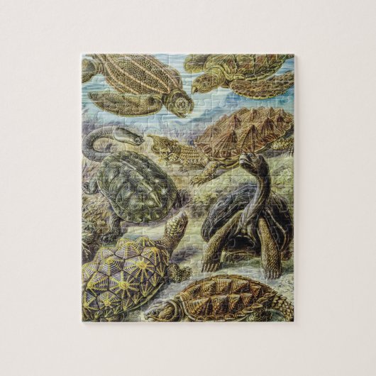  Zee schildpadden en schildpadden van Ernst Haecke Legpuzzel (Verticaal)