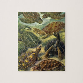 Zee schildpadden en schildpadden van Ernst Haecke Legpuzzel