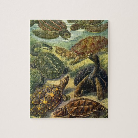 Zee schildpadden en schildpadden van Ernst Haecke Legpuzzel (Verticaal)